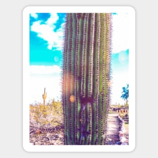 Cactus face Sticker